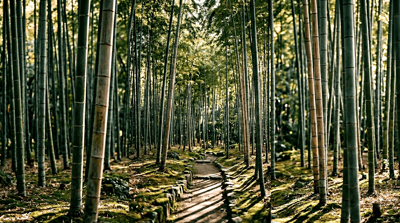 Bamboo grove with soft shadows and filtered light—garden calm study.